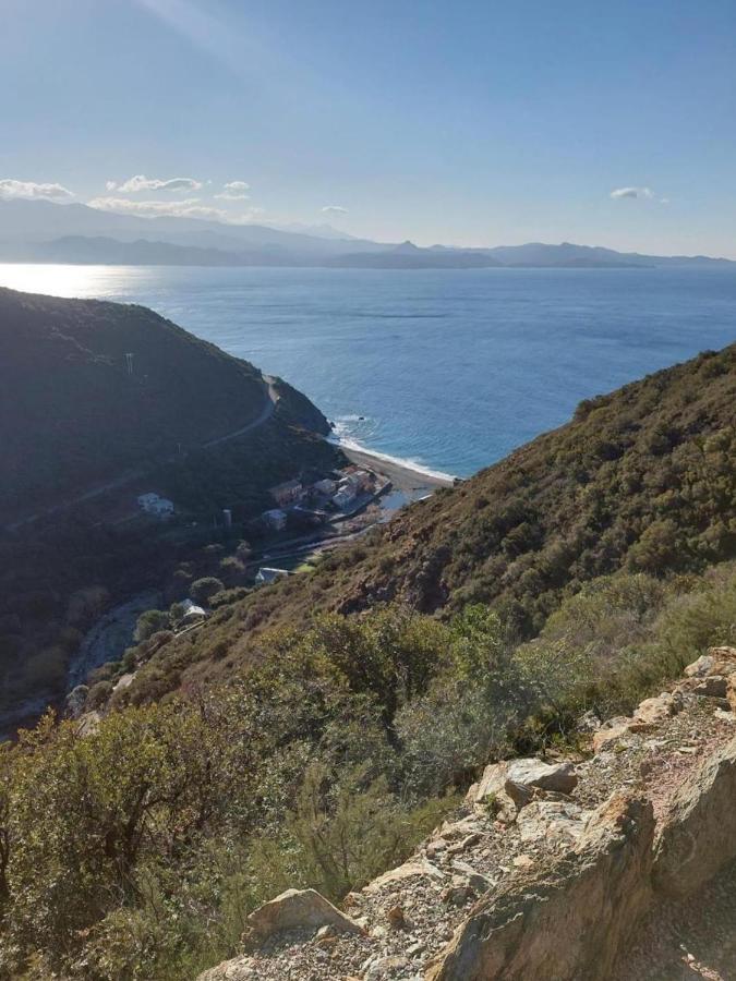 Cap Corse - Grande Maison Au Bord De Mer - Pmr Grillasca Экстерьер фото